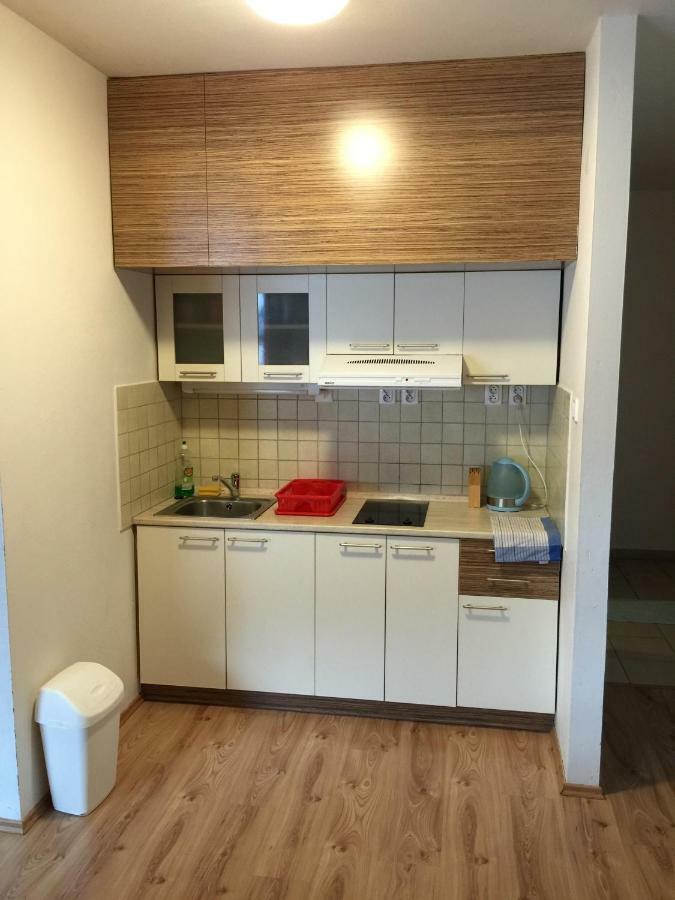 Apartment Horec Доновалы Экстерьер фото